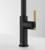 Picture of Franke Maris Stripes U Pull-Down Nozzle Tap Matt Black/Gold