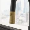 Picture of Franke Maris Stripes J Pull-Down Nozzle Tap Matt Black/Gold