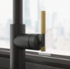 Picture of Franke Maris Stripes J Pull-Down Nozzle Tap Matt Black/Gold